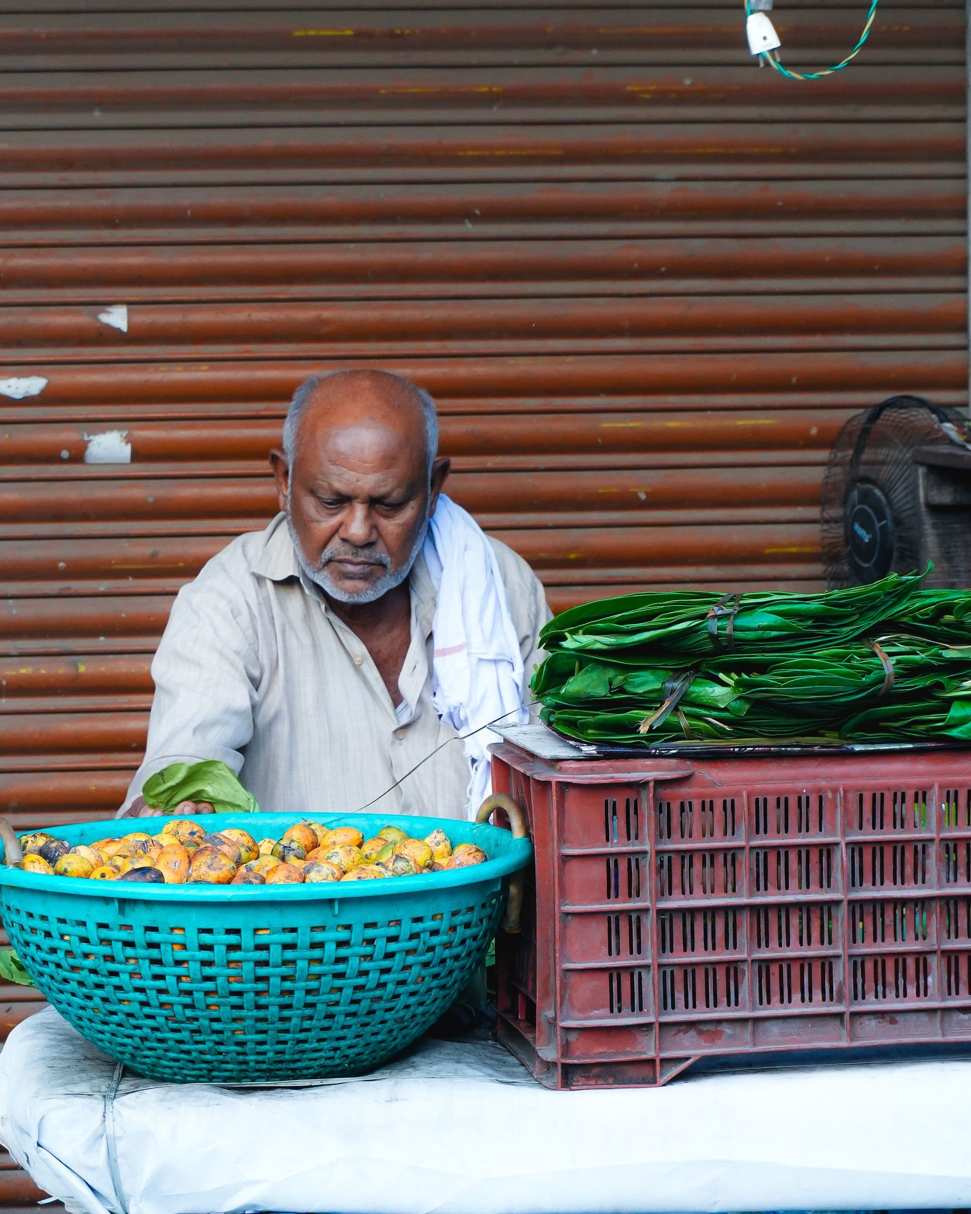 Vishnu Traders areca nut trading legacy since 1996